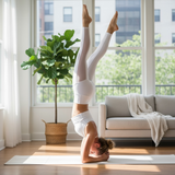 White Mesh Contour Leggings